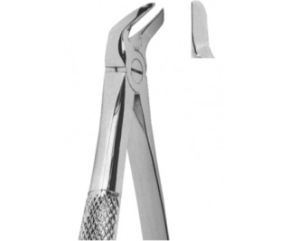 Extracting Forceps English pattern